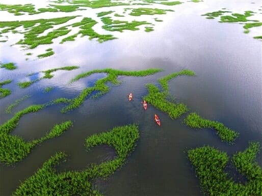 Kayaking through Hilton Head salt marsh